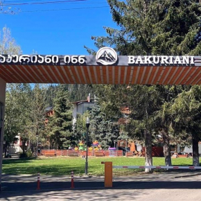 BAKURIANI INN Serviced Apartment 439